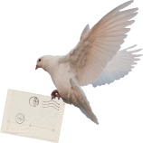 For our Contact Storytelling That Counts page, a white pigeon holding an envelope.