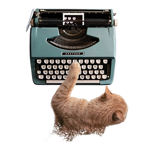 A collage consisting of a cat typing on a vintage typewriter, meant to show the creativity of Storytelling That Counts, a boutique hospitality creative studio.
