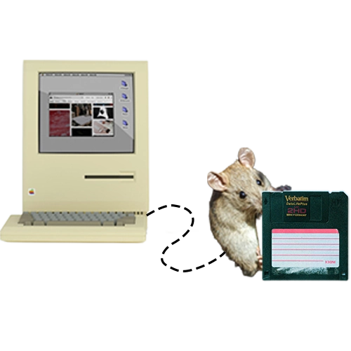 A collage consisting of a retro computer, a mouse and a hard disk.